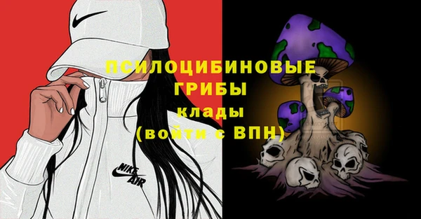 дурь Алексеевка